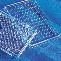 Mouse IL-13 ELISA Kit， Valukine™