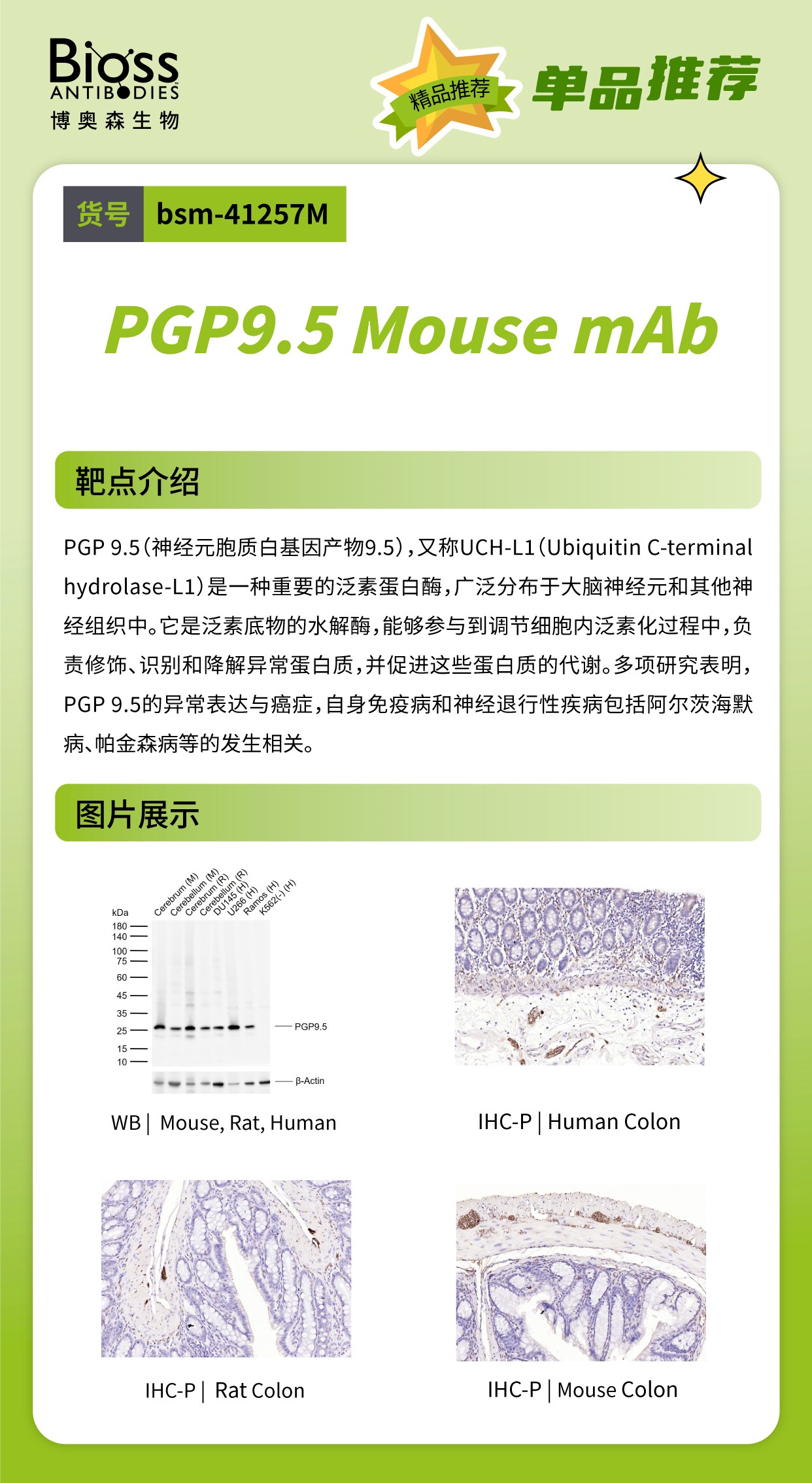 Bioss 星推荐 | PGP 9.5