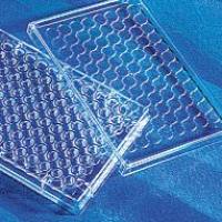 Mouse Complement Component C5a ELISA kit，Valukine™