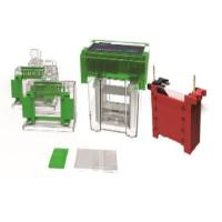 BS-31CN 型电泳槽