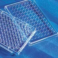 Mouse IL-22 ELISA kit，Valukine™