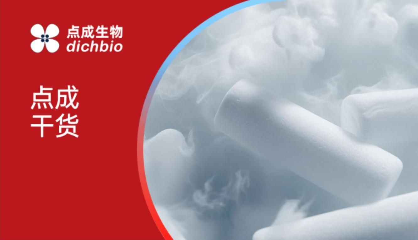 虹科方案 | 使用干冰数据记录仪进行温度监测，保障超低温下运输产品或关键样品