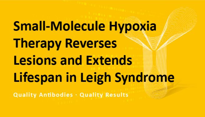 文献选读：小分子低氧疗法 HypoxyStat 可逆转雷氏症病变并延长寿命