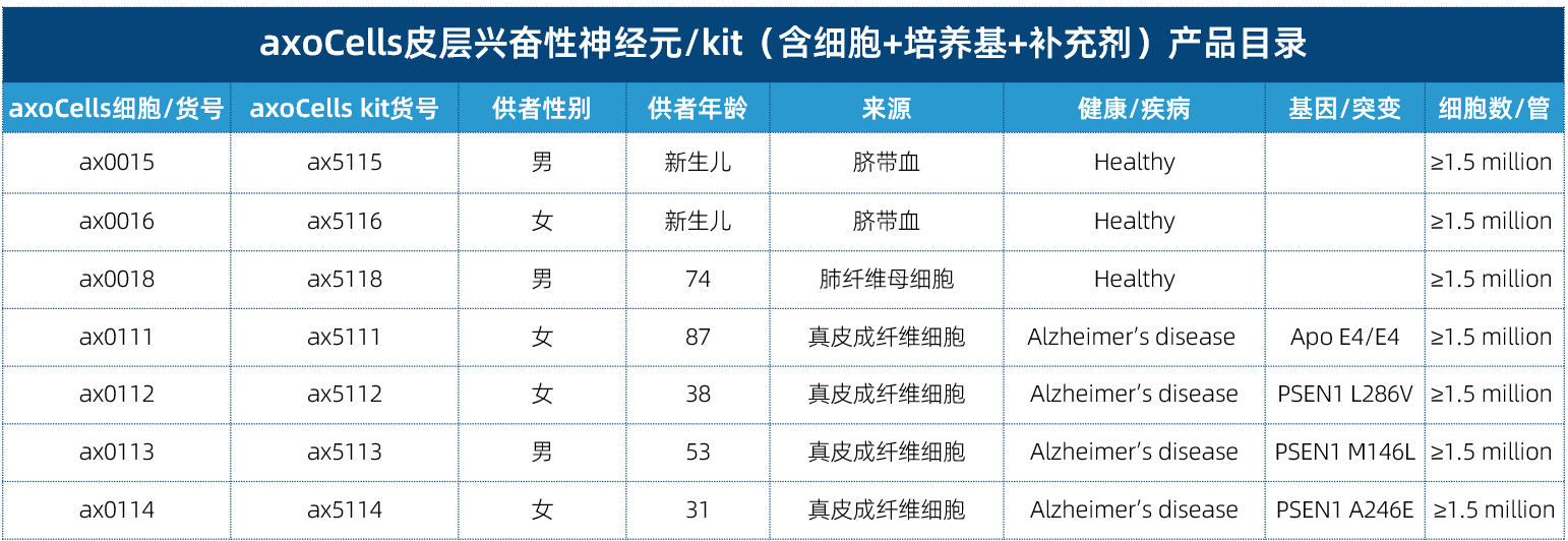axoCells皮层兴奋性神经元产品信息