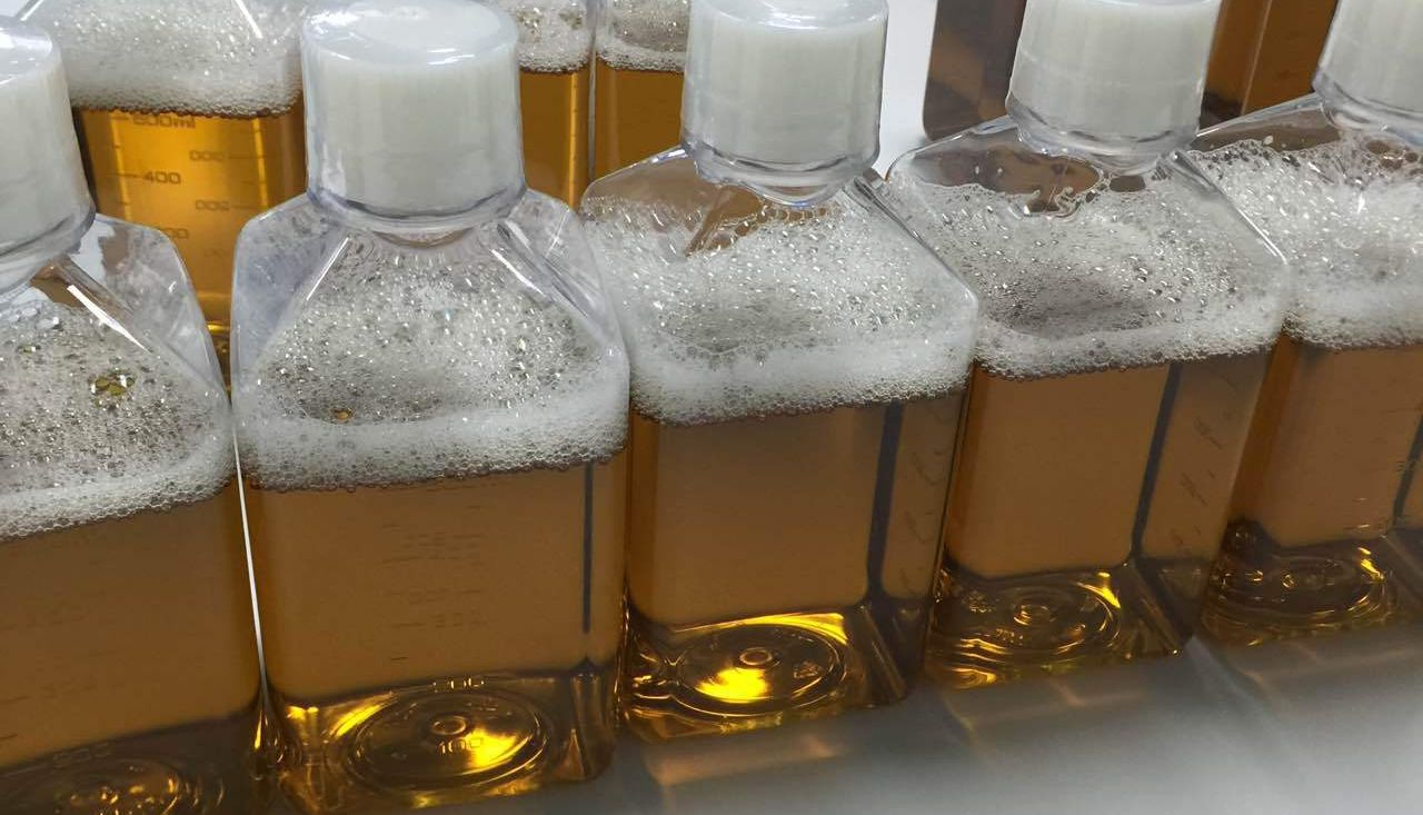 细胞培养中的血清各类成员介绍