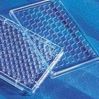 Mouse/Rat Insulin ELISA Kit，Valukine™