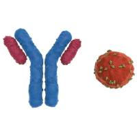 一抗现货  | 国货替代