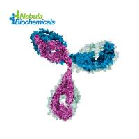 抗体现货  | 国货替代