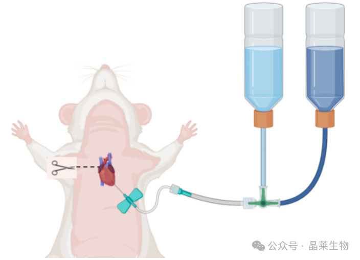 640_wx_fmt=png&from=appmsg (3).png