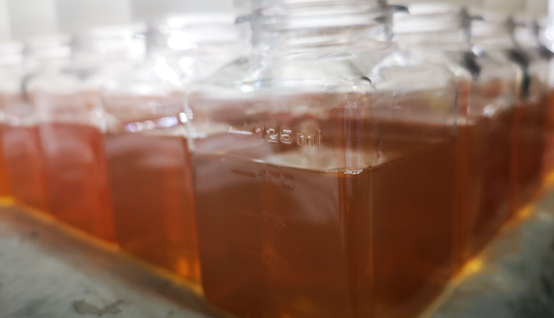 细胞培养：各类动物血清的选择