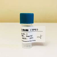 甲状腺过氧化物酶（TPO）单克隆抗体；鼠抗甲状腺过氧化物酶单克隆抗体；甲状腺过氧化物酶抗体；TPO抗体；TPO-McAb 