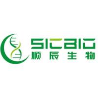 GV3101农杆菌感受态细胞 