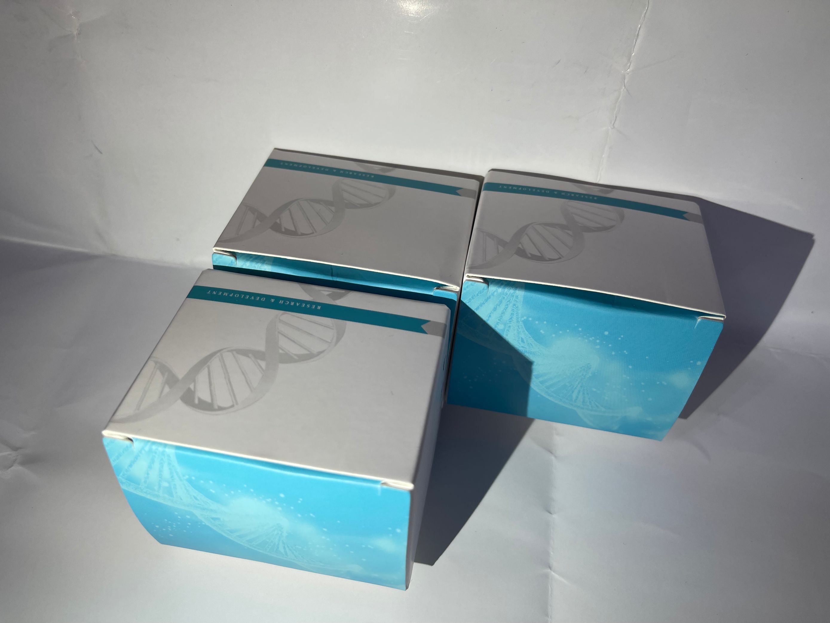 生化试剂盒的质量判断考虑因素