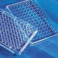 Monkey IL-1β/IL-1F2 ELISA Kit，Valukine™