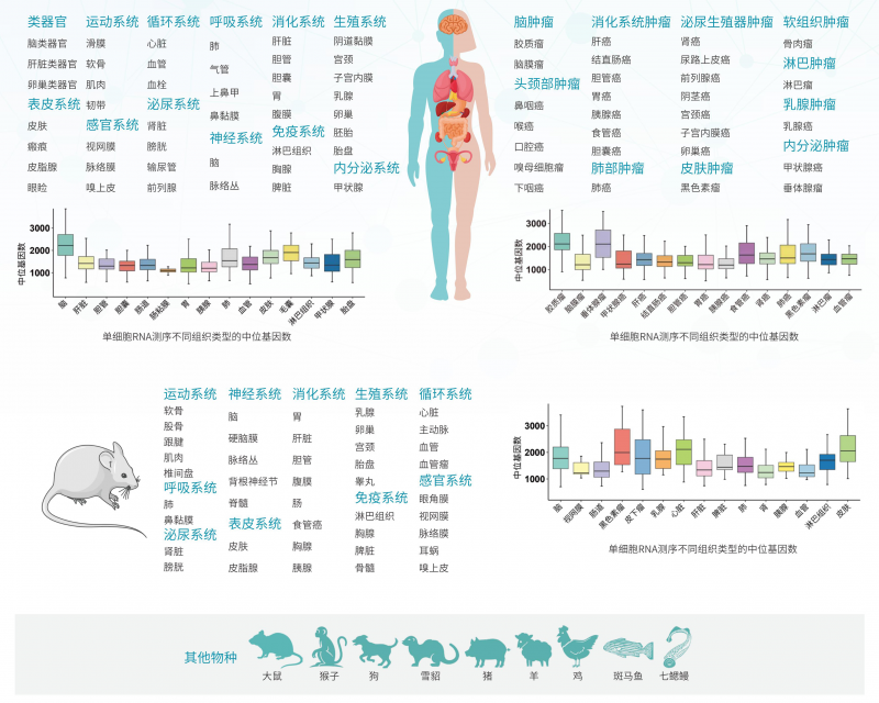 样本保存液|单细胞测序保存液