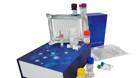 小鼠卵磷脂(lecithin)elisa试剂盒适用范围有哪些?