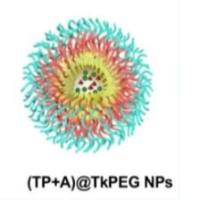 活性氧物质（ROS）响应性纳米颗粒包裹聚集诱导发射（AIE）光敏剂和雷公藤内酯（TP）