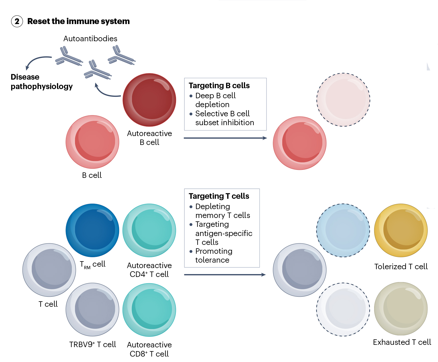 自免疾病研究“宝藏级”解决方案，解码3大类靶点发展趋势