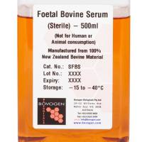 无菌胎牛血清