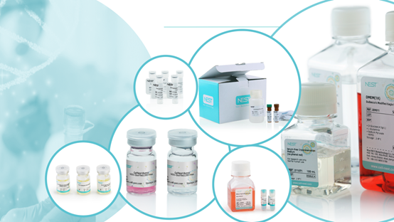 GelNEST™基质胶破解关税成本困局，保障供应链稳定，为你提供高质优品！