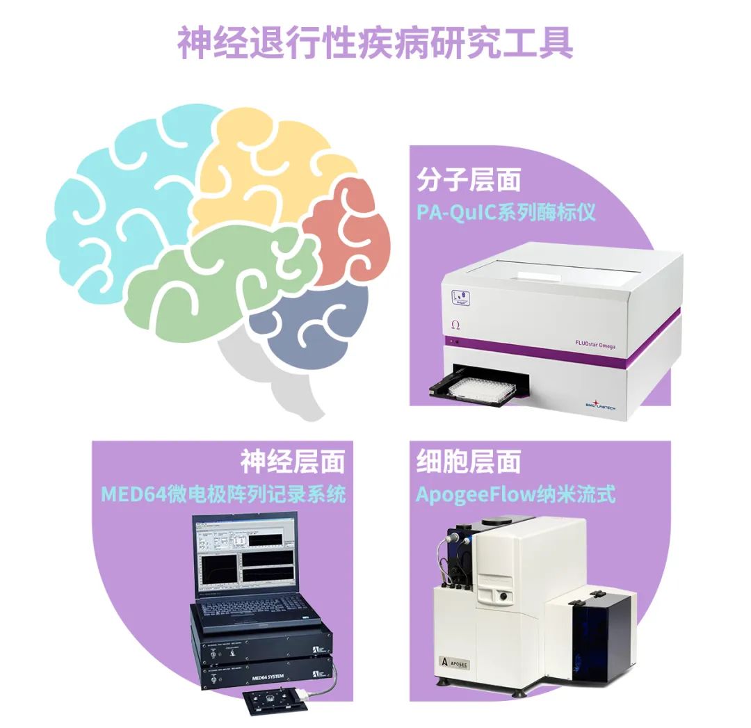 多个角度全方位聚焦神经退行性疾病的研究解决方案
