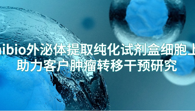 IF=14.7| Umibio外泌体提取纯化试剂盒（细胞上清）（UR52121）助力客户肿瘤转移干预研究！