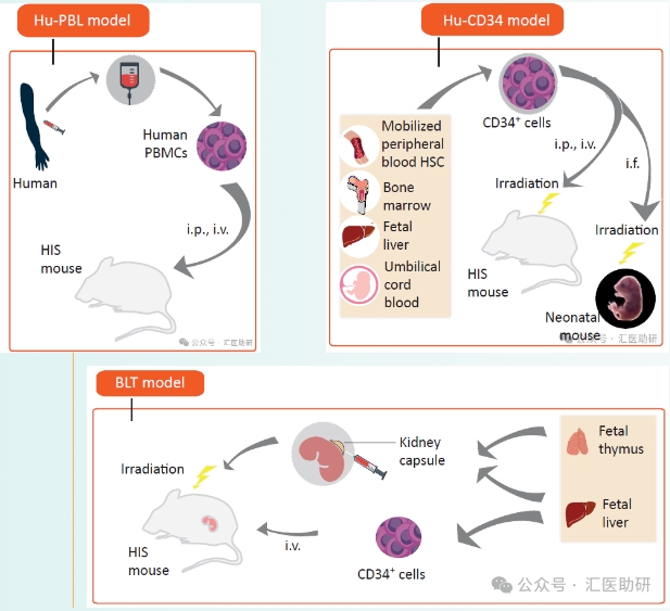 小鼠免疫≠人类免疫？肿瘤免疫研究换了模型后，这分数是真的香~