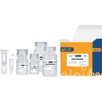 5min极速RNA提取试剂盒