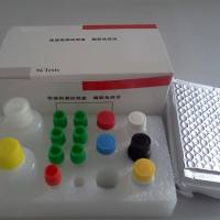 单标信号放大试剂盒（TYR620/兔鼠通用二抗）