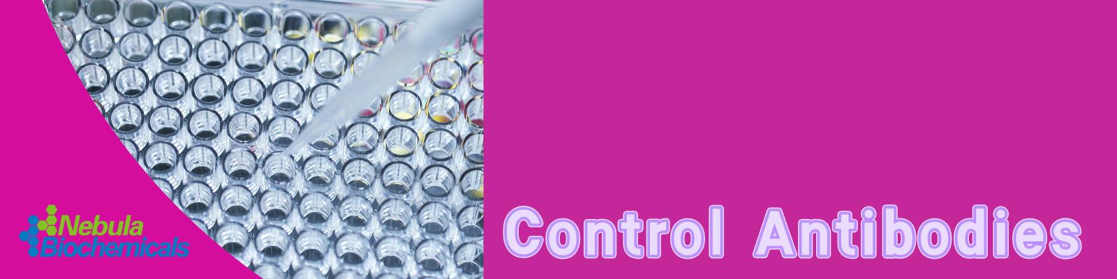 对照抗体.jpg