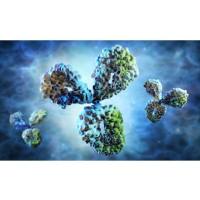 二抗现货  | 国货替代