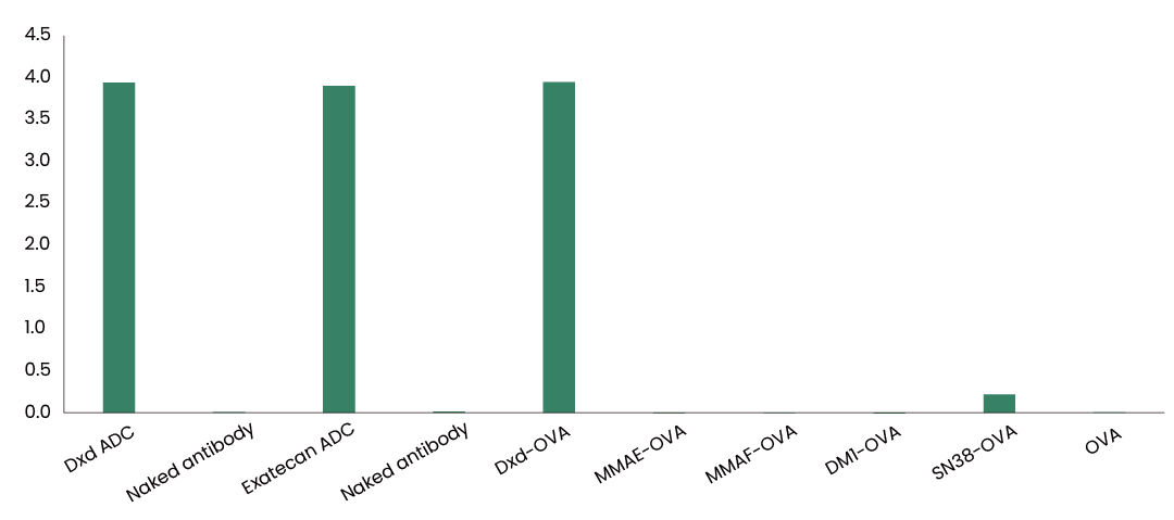 ADC药物PK分析“黄金搭档”：抗DXD抗体如何精准捕捉药物释放动态？