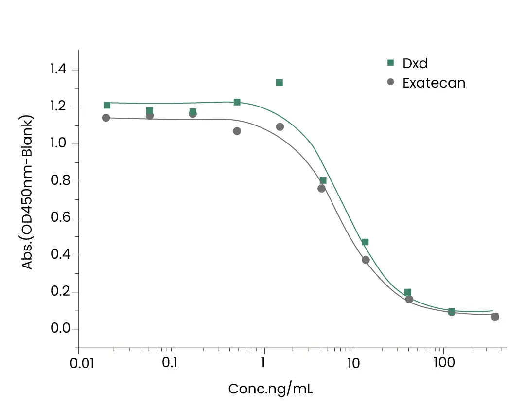 ADC药物PK分析“黄金搭档”：抗DXD抗体如何精准捕捉药物释放动态？