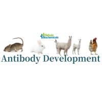 对照抗体现货 | 国货替代