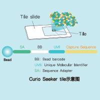 Curio Seeker Spatial Transcriptomics Kit 空间转录组学分析试剂盒