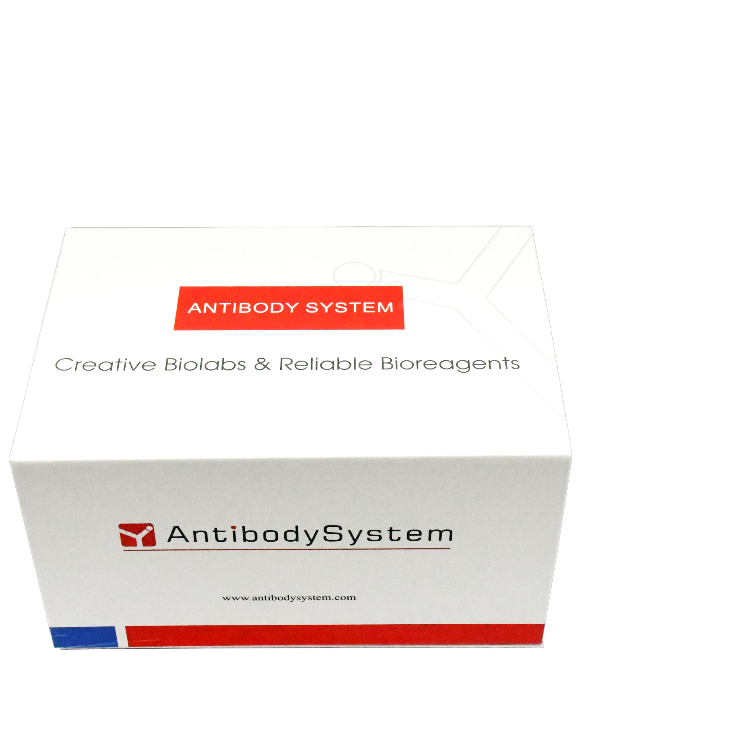 Testosterone/T ELISA Kit