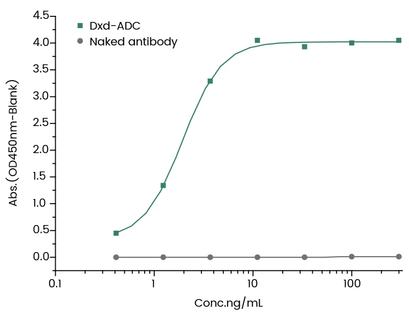 ADC药物PK分析“黄金搭档”：抗DXD抗体如何精准捕捉药物释放动态？