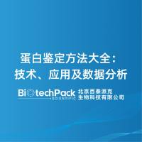 蛋白鉴定方法大全:技术、应用及数据分析