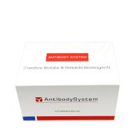 Medroxyprogesterone/MP ELISA Kit