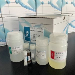 总DNA 和 RNA 提取试剂盒(磁珠法X4)