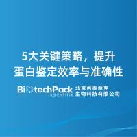 5大关键策略，提升蛋白鉴定效率与准确性