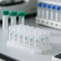 鼠抗人血清白蛋白单克隆抗体;人血清白蛋白抗体;HSA抗体