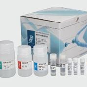 组织 RNA 提取试剂盒