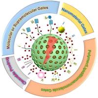 负载治疗性肽NUBCP-9(N9)的介孔二氧化硅纳米颗粒被叶酸FA修饰