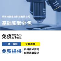 蛋白质免疫沉淀技术服务#免疫沉淀#免疫共沉淀#IP#Co-IP#ChIP#RIP
