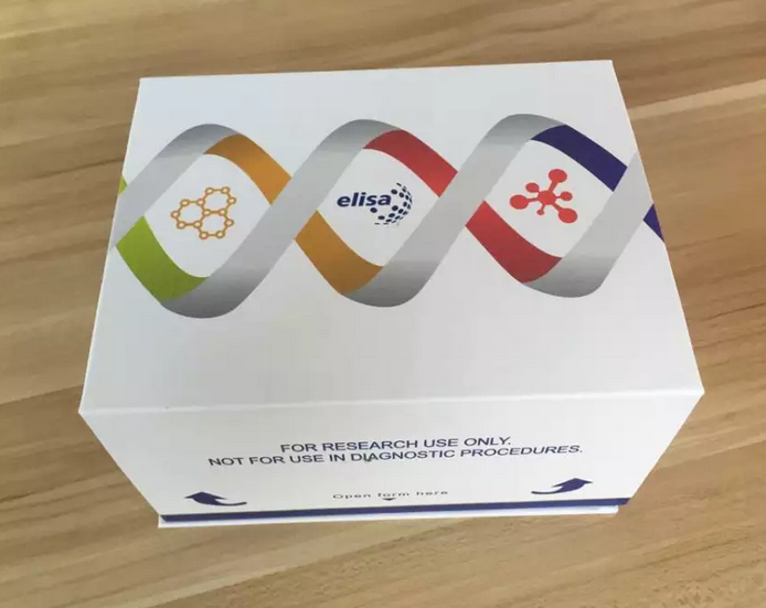 豚鼠胆碱磷酸甘油酯(PC/CPG)酶联免疫ELISA试剂盒