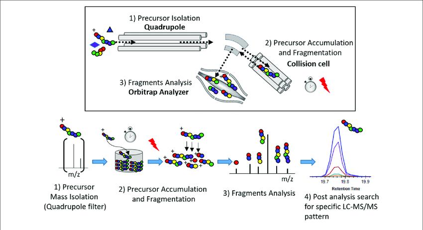 Principle-of-the-parallel-reaction-monitoring-PRM-experiment.png