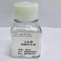 无血清细胞冻存液