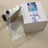 单标信号放大试剂盒Plus版(TYR480/兔二抗)