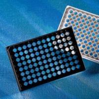 酸性鞘磷脂酶检测试剂盒,红色荧光